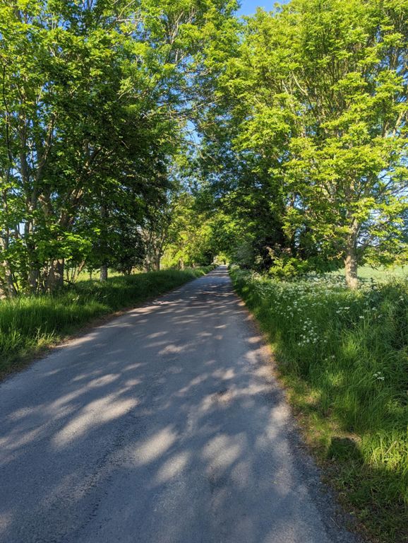 strava bike routes near me