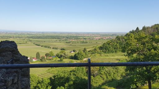 Blick von der Wachtenburg 