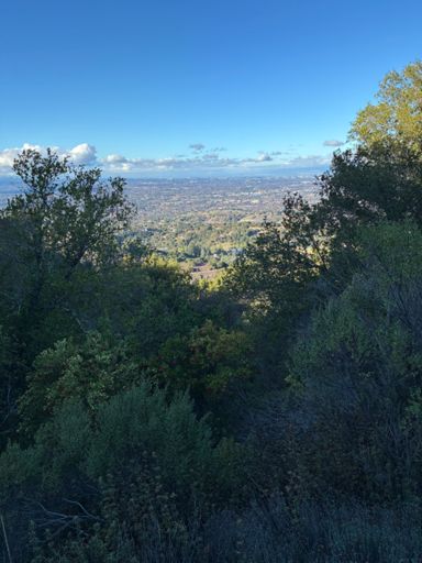 Neat view showing start of trail