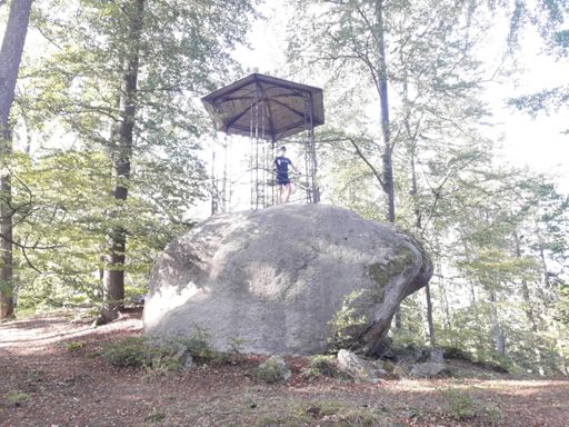 Trochu se rozhlédnout