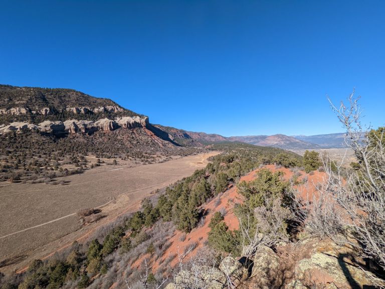 long run and then a workout with some neighbors