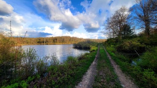 The lovely Shale Pit Rd.