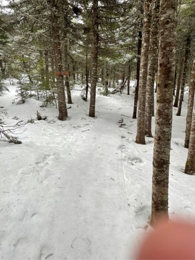 Not sure. But everything looks like this.  Frozen but not icy.  Good traction.