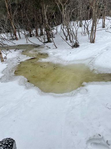 Red River.  Doubled back and stayed on the Winsor lake skidoo trail.