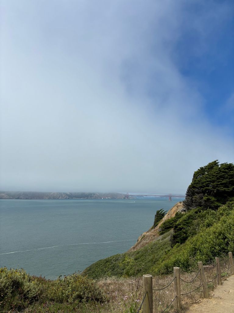 Butterlap (Presidio & Golden Gate Park) photo 153