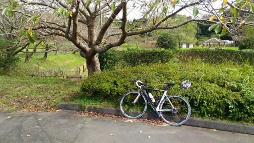 橘ふれあい公園、まだ蝉鳴いてる。