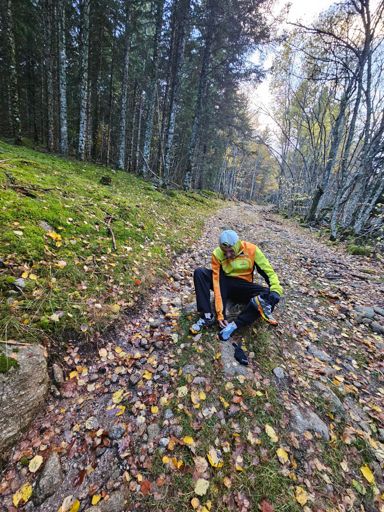 Voilà ce qui arrive quand on sort des sentiers 