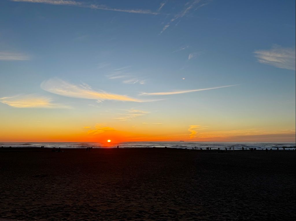 Butterlap (Presidio & Golden Gate Park) photo 134