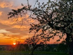 Footing au lac + sunset sur le retour