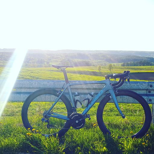 Basso on the hills of suwalszczyzna