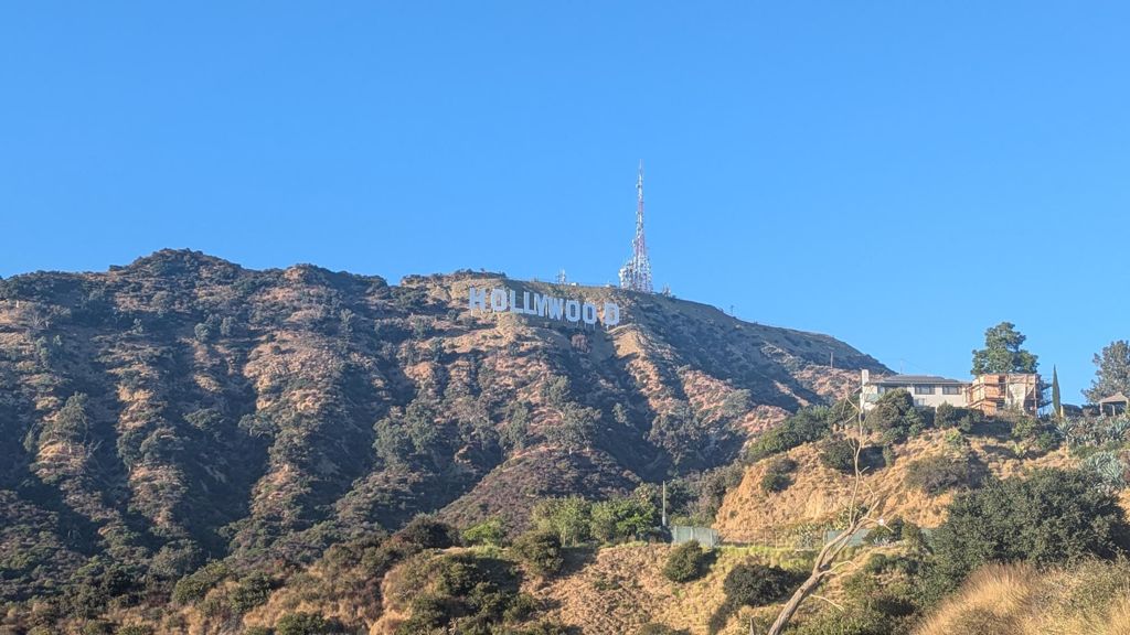 NBB run - Lake Hollywood: фото 143