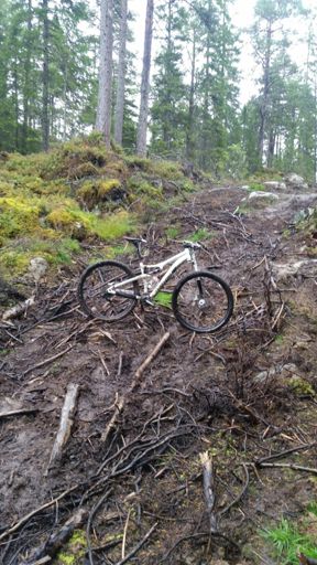 Dette VAR favorittstien min...