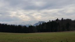 Trotte belfosse champ du feu