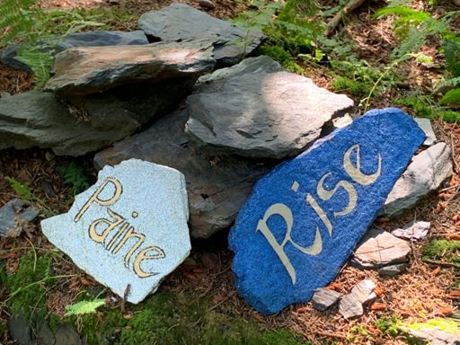 Top of Turkey Hill/Hawk Watch Loop.