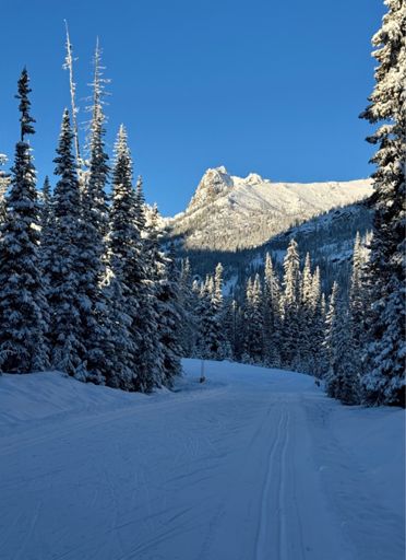 Fresh snow and nice tracks.