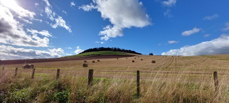 Half a mile past the church, looking north west towards Drumelzie Wood on 1060ft/323m Black Hill, viewed from a road at 361ft/110m.