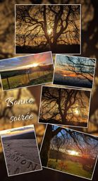 Randonnée en soirée