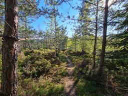 Sortie à vélo l’après-midi