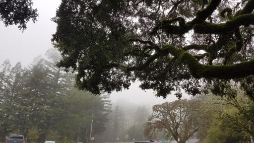 Gusty wind and blowing rain coming in from the coast