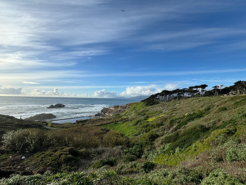 Butterlap (Presidio & Golden Gate Park)的照片 37