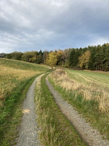 Es fing so schön an...