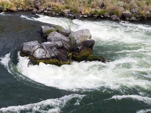 Deschutes River rapids... Boxcar?