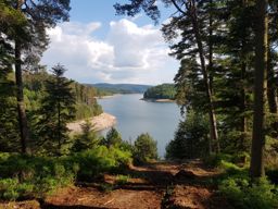 Visite à Christian au lac