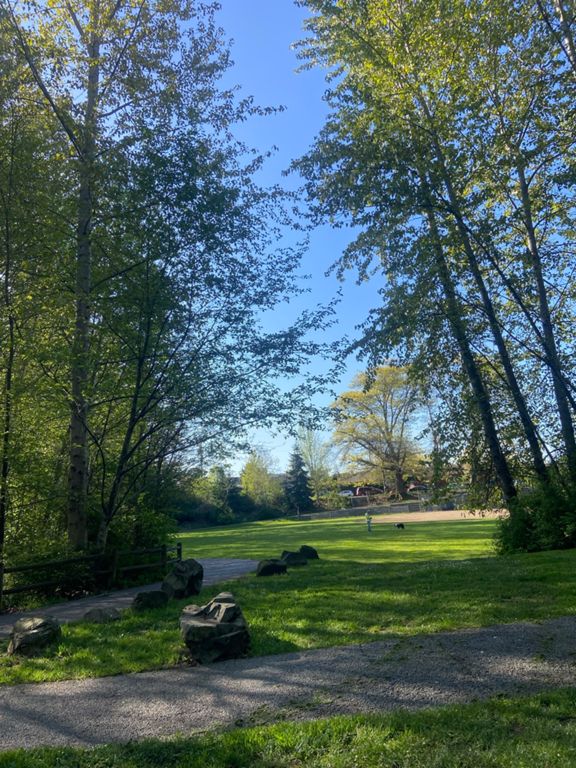 «» — фото 5