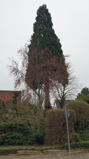 Harxheim_ID24206_BM_Am Rheinhessenblick 10