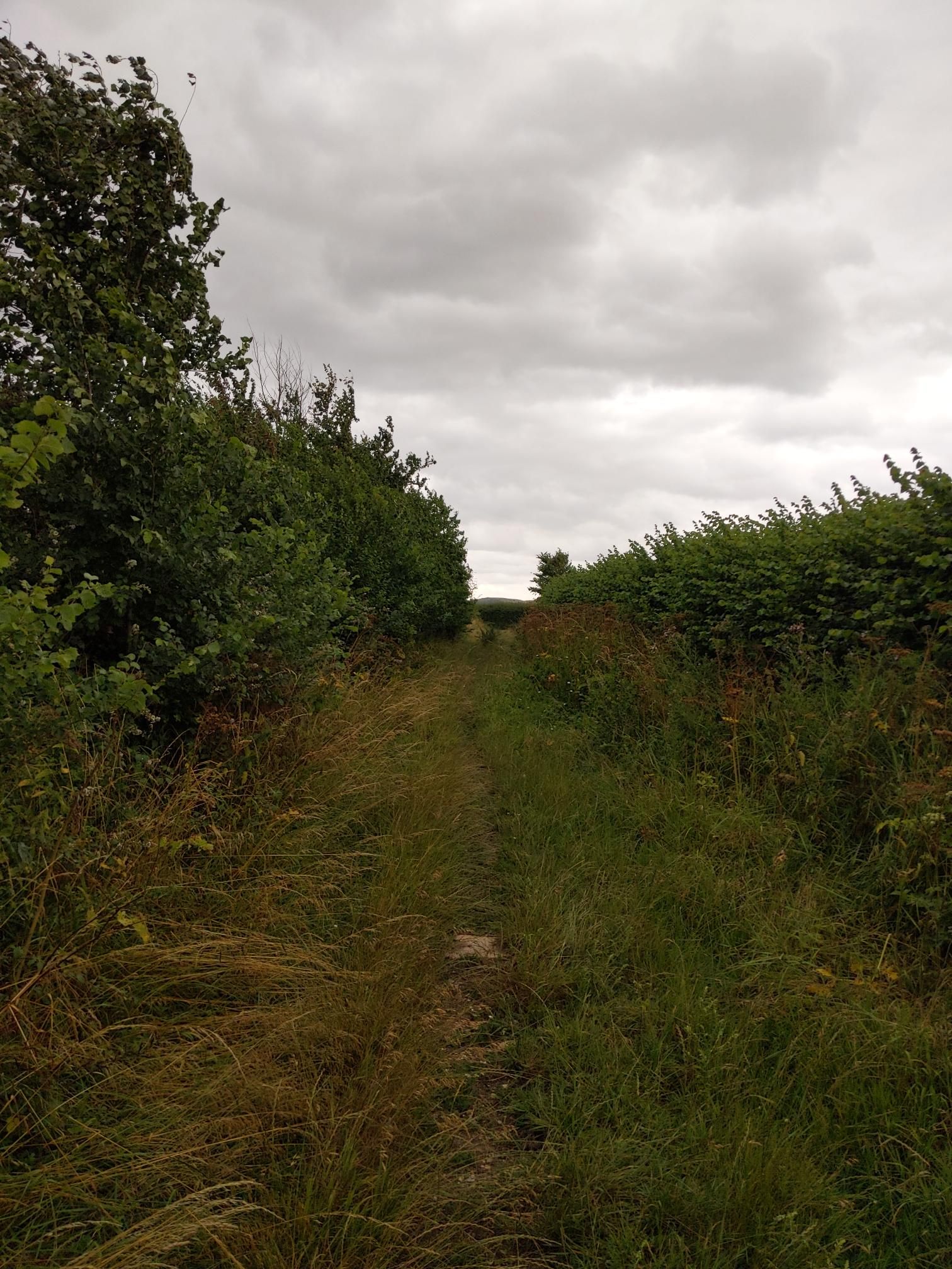 Skipton to Lands End - Day 3 photo 10