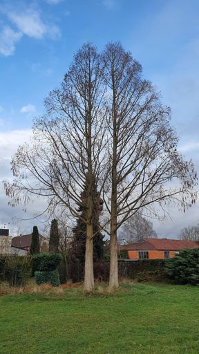 Mainhausen_ID24195_UM_Dieselstr. 10