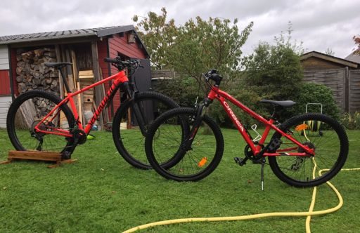 Un vélo de championne.