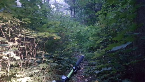 неожиданные ебеня
Так и не выехали никуда, вернулись)