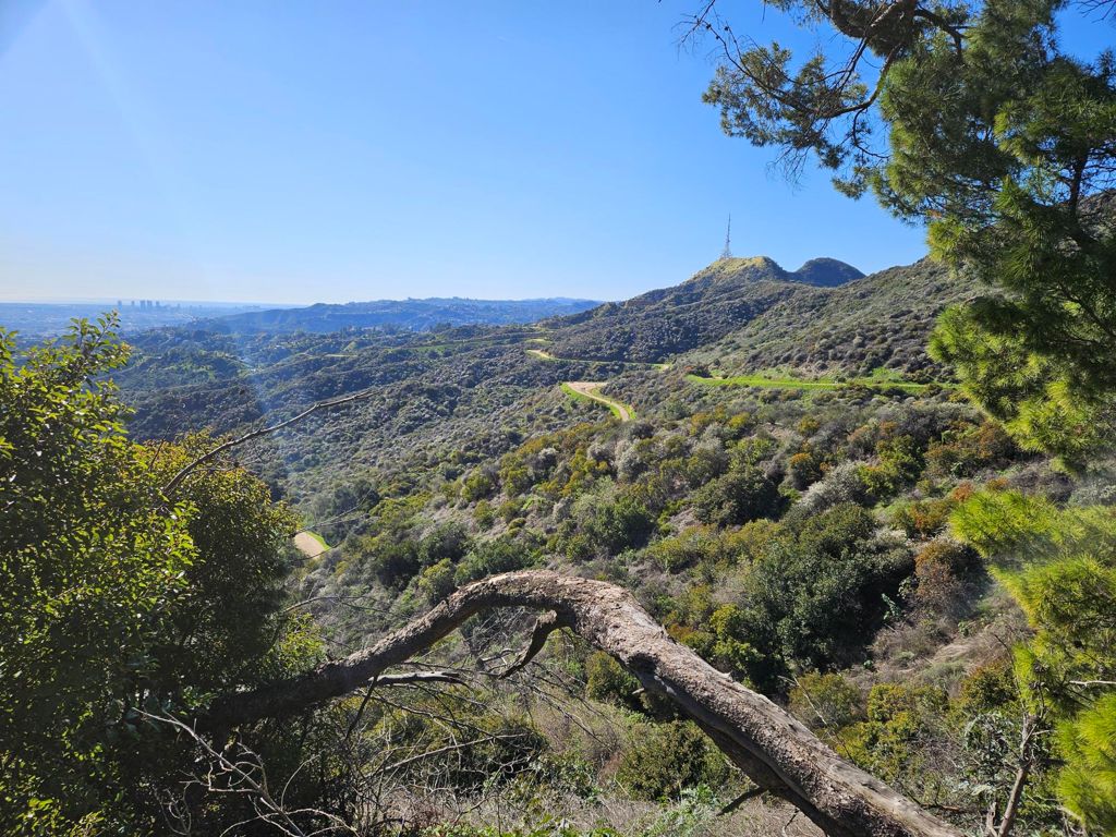 NBB run - Lake Hollywood: фото 76