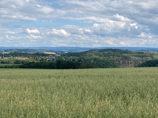 Blick oberhalb von Trieb auf die Elstertalbrücke