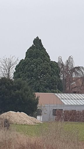 Mainz_ID24204_BM_Rheinhessenstraße 200