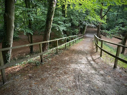Niet helemaal racefietsfähig dat mulle zand