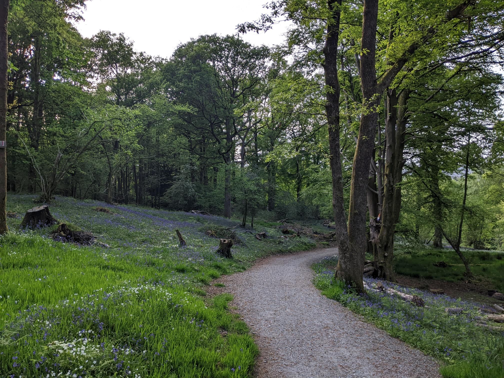 Random bike packing trip around the north - Day 1 photo 3