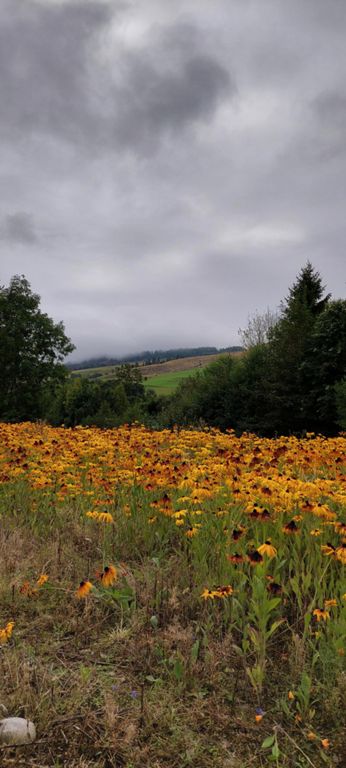 By Chestnut Cottage, Kings Island, Aldclune, 7 miles out of Pitlochry, just before Bridge of Tilt and Blair Castle, which in a mile was visible for almost 2 miles.  https://en.wikipedia.org/wiki/Blair_Castle