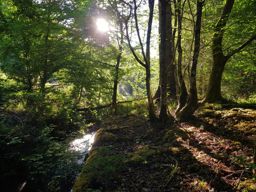 Lamproy, Grand Rougimont, Grand retour