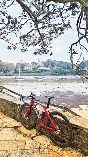 Fraiseraie de Pornic