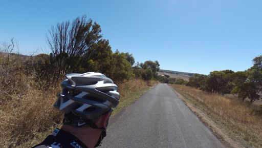 At the front of the bunch