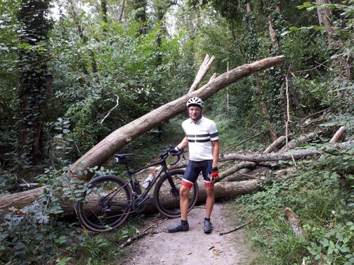 Un peu de laisser aller chez les Rigs. Il est temps de retirer les "arbustes" des chemins.