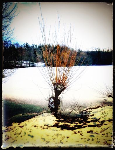 Huch, jetzt hab‘ ich mich aber auch erschrocken 😳 da stehen mir doch glatt meine roten Federn 🪶 🪶 🪶 zu Berge 😆 🐥🐥🐥🐥