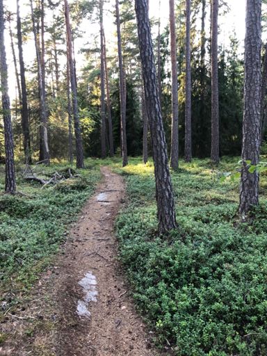 Fanns mer flowiga stigar också