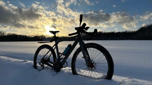 謹賀新年って感じになった🎍