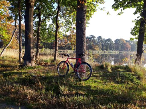 Een mooi zonnig plaatje bij een mooie plas in de bossen rond Breda