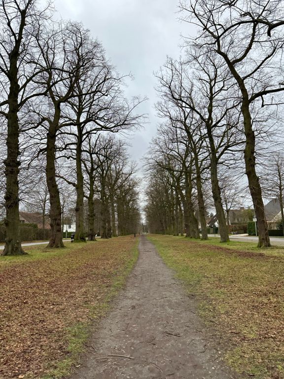 20KM Parkbos | 20.0 km Running Route on Strava