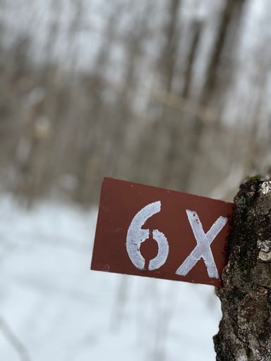On faisait ça il y a 30 ans en ski de fond avec Popinoo 🤩🔥