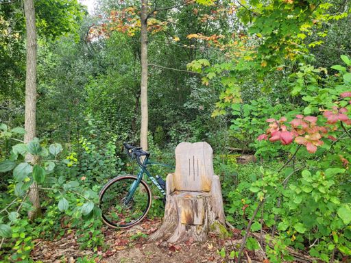 Trailside throne